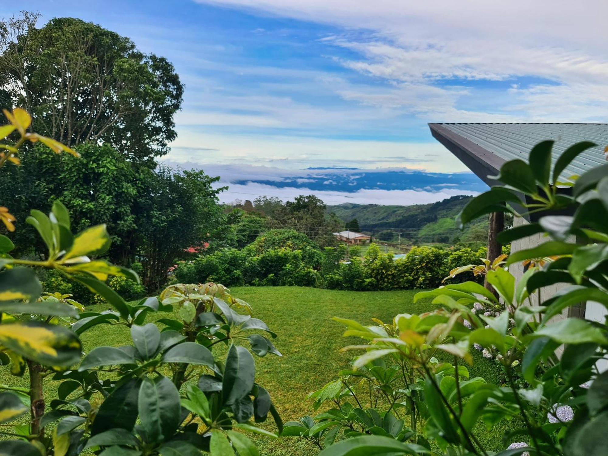 Espectacular Cabana Moderna De Montana + Bosque Nuboso +Wifi Zarcero Exteriör bild