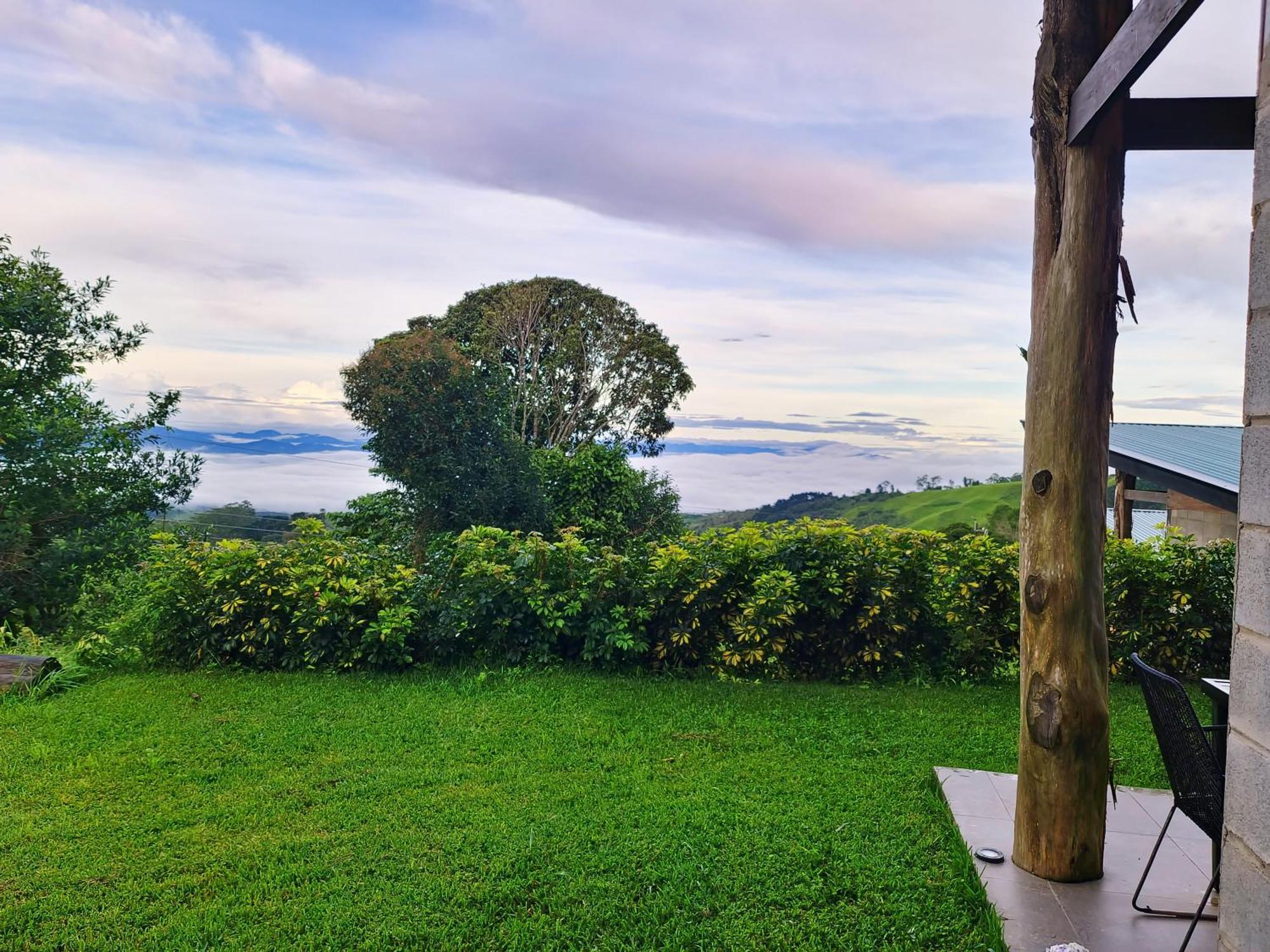 Espectacular Cabana Moderna De Montana + Bosque Nuboso +Wifi Zarcero Exteriör bild