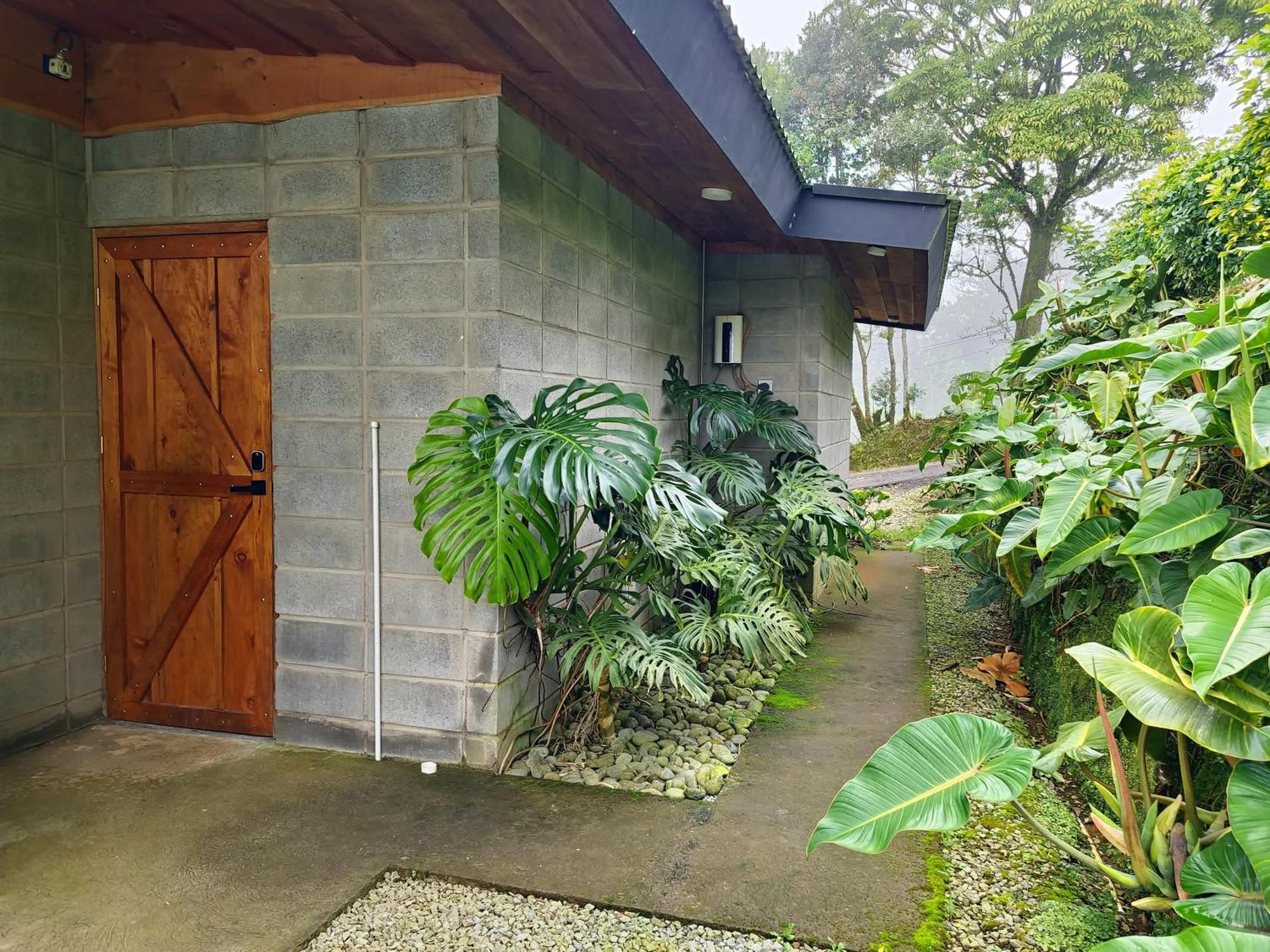 Espectacular Cabana Moderna De Montana + Bosque Nuboso +Wifi Zarcero Exteriör bild